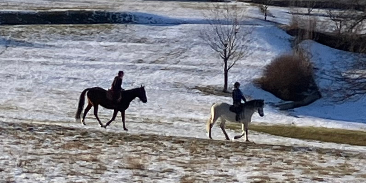 horses being ridden in the snow
