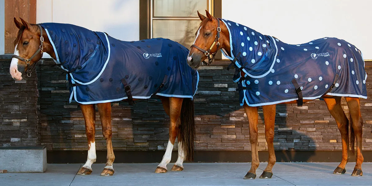 Horses wearing magnetic rugs