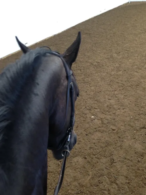 348362128_1985084525217454_3732942410142215078_n