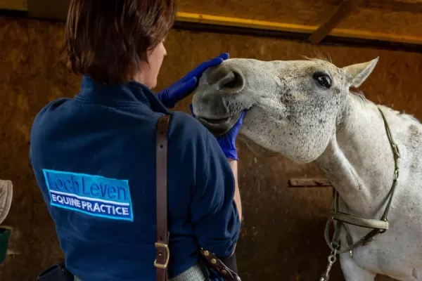 Blog image - Podcasts-4